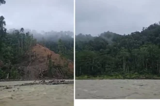 Hutan yang Kembali Tumbuh, Sungai yang Tetap Menghidupi