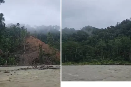 Hutan yang Kembali Tumbuh, Sungai yang Tetap Menghidupi