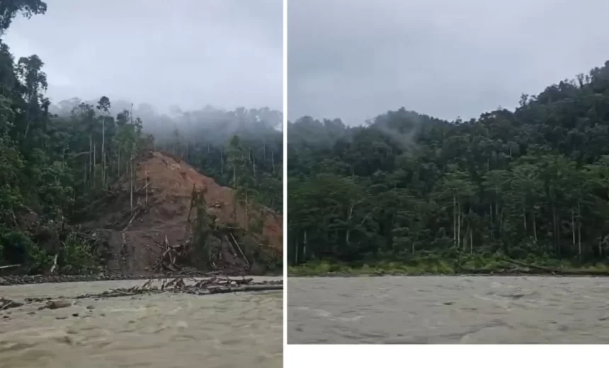 Hutan yang Kembali Tumbuh, Sungai yang Tetap Menghidupi